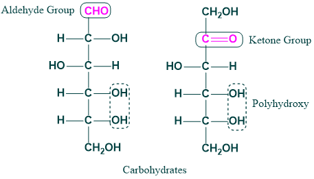 Carbohydrates Structure