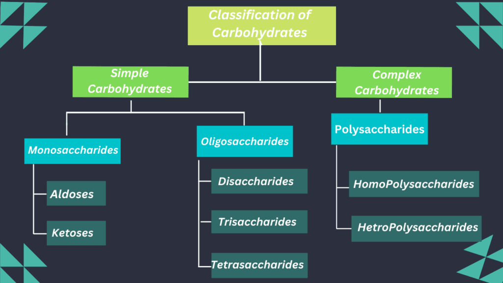 Classification of carbohydrates