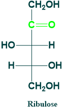 Ribulose