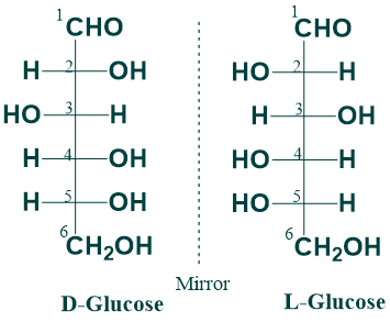 Isomerism of Carbohydrates - Chemistwizards