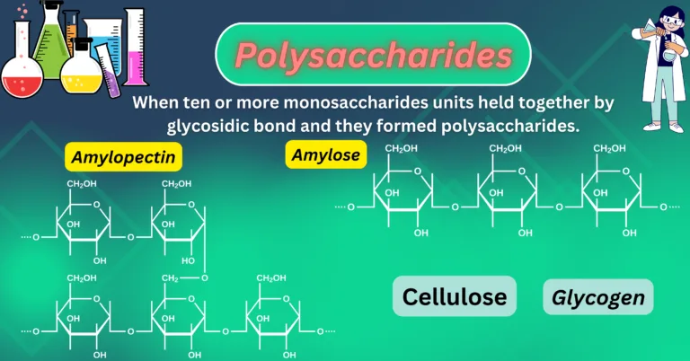 Feature image of Polysaccharides