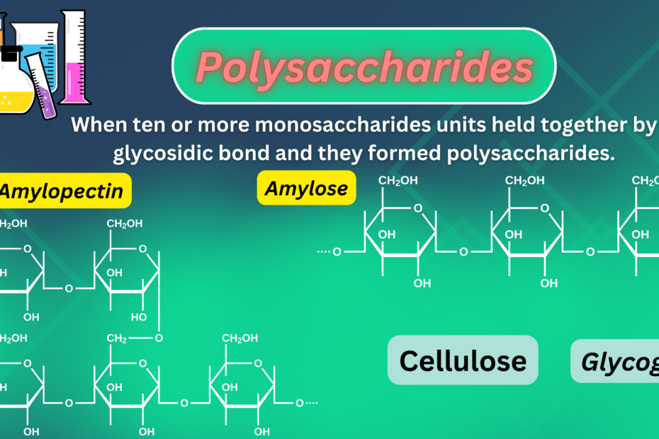 Feature image of Polysaccharides