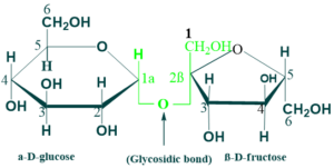 Sucrose