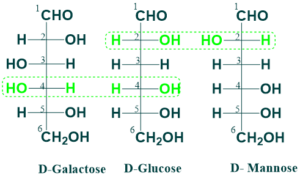 Epimers of glucose