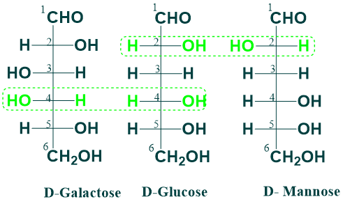 Epimers of glucose