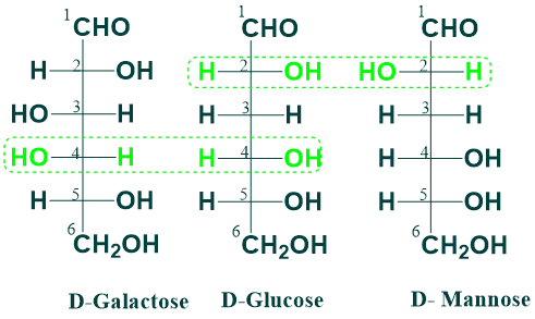 Epimers of glucose
