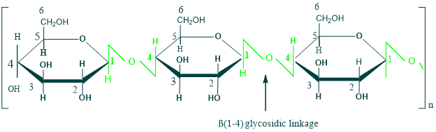 Structure of cellulose(Polysaccharides)