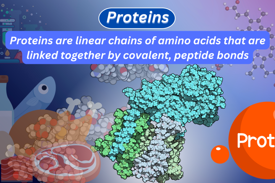 Feature image of proteins