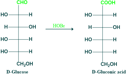 oxidation of glucose