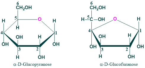 Ring Structure of Glucose