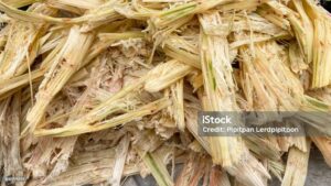 Dry pulpy residue left after juice extraction from sugarcane called bagasse.