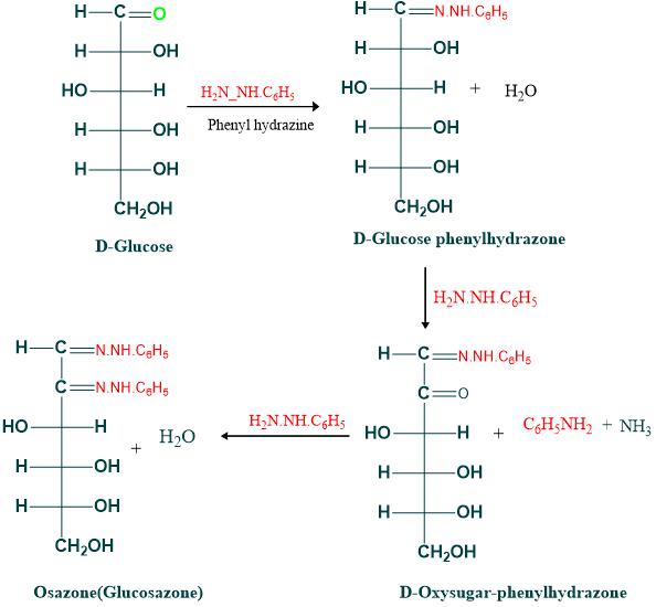 osazone formatioon