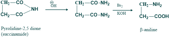 Preparation of amino acid by hoffmann rearrangement 