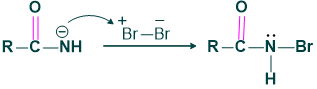 step 2 hoffmann rearrangement