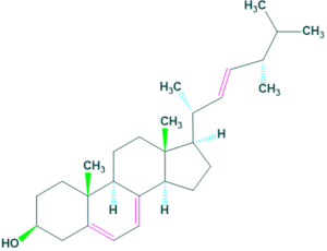 coprostanol