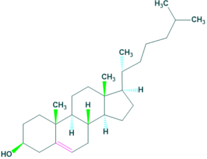 cholesterol