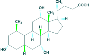 cholic acid