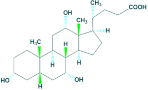 deoxy cholic acid