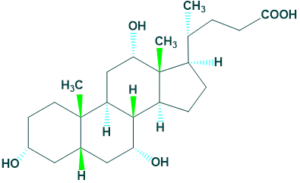 deoxy cholic acid