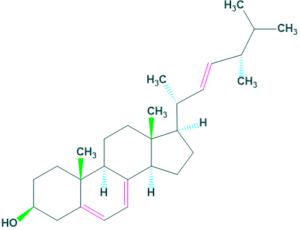 ergosterol