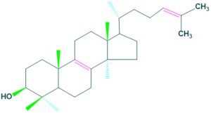 lanosterol