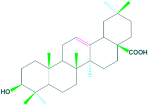 oleanolic acid