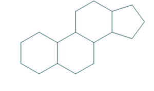 primary structure of steroid