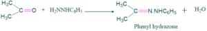 phenyl hydrazone