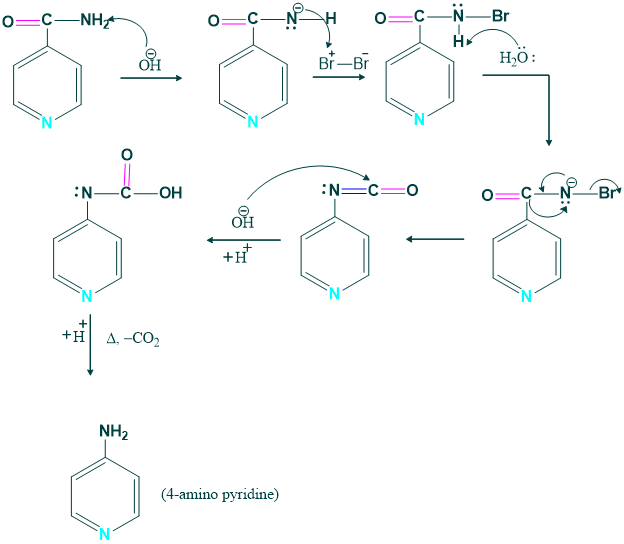 Mechanism of 4-amino pyridine