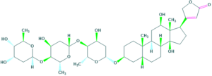 digoxin