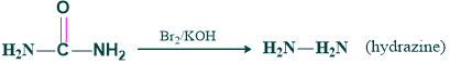 Synthesis of urea to hydrazine 