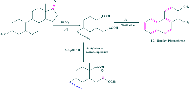 position of angular methyl group in cholesterol