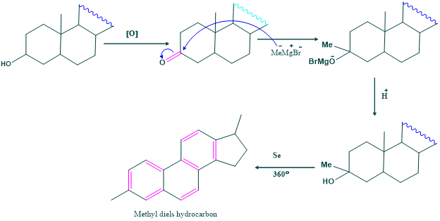 mechanism of methyl diels hydrocarbon from cholesterol