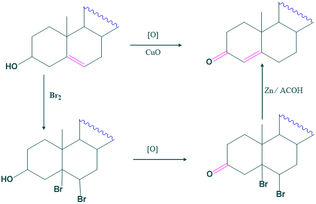 determination of position of double bond in cholesterol