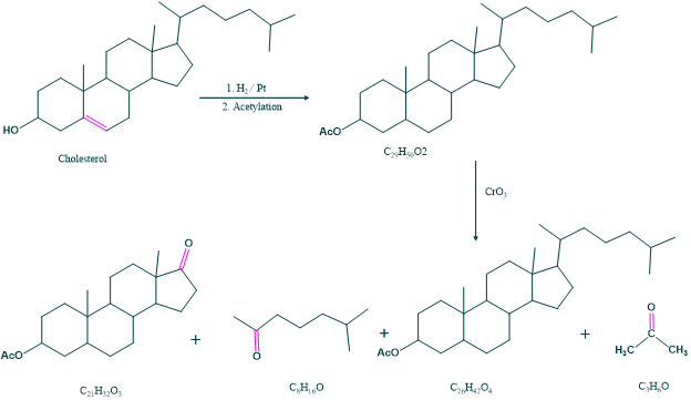 determination of position of side chain in cholesterol