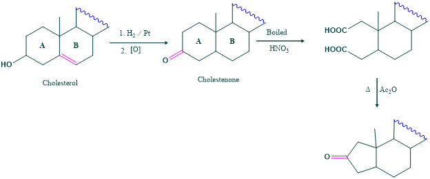 Ring A of cholesterol