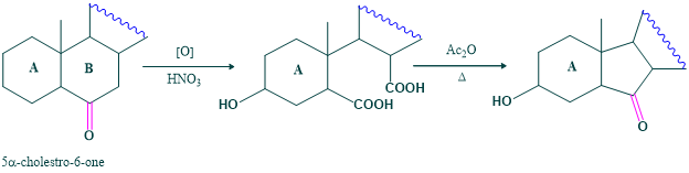 ring B in the structure of cholesterol