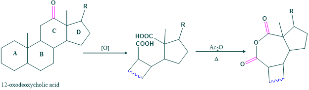 ring C in the structure of cholesterol