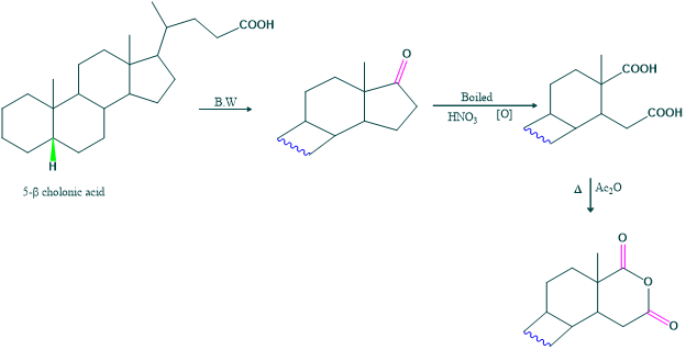 Ring D in the structure of cholesterol