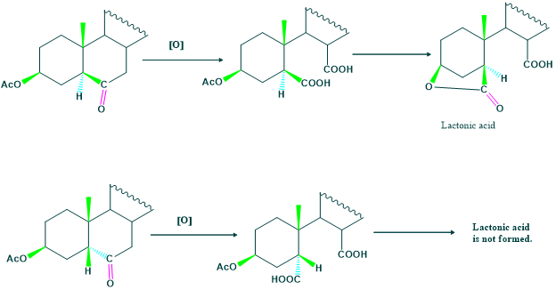 stereochemistry of hydroxyl group in cholesterol