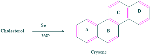 Formation of crysene from cholesterol