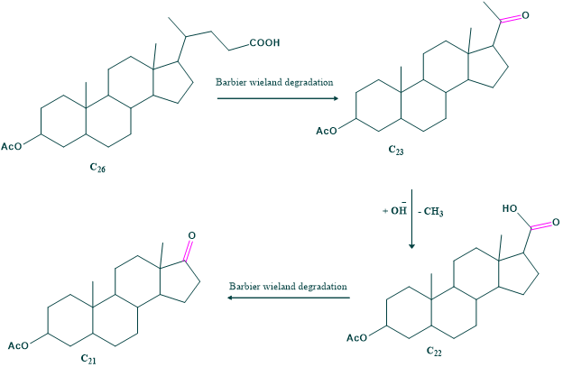 Formation of acetone indicates that isopropyl is terminated part of side chain