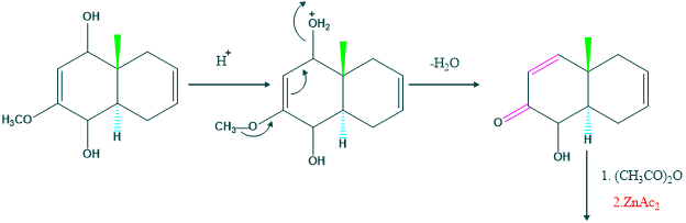 synthesis of cholesterol step 4