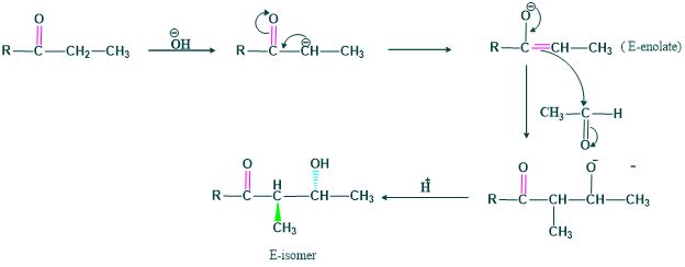 E-enolate