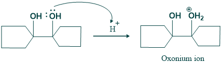 Mechanism of pinacole-pinacolone protonation step