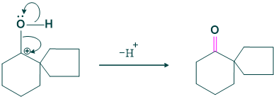 Mechanism of cyclic pinacole rearrangement lasts step