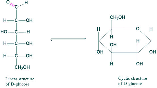 Ring chain tautomerism