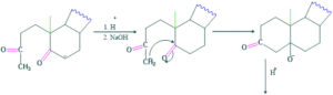 cholesterol step 20 300x86 1