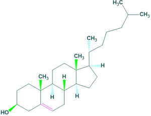 structure of cholesterol