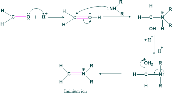 Formation of iminium ion
